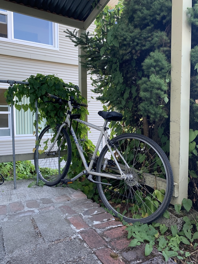 Bike photo