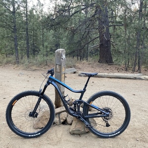 2020 Giant Trance Advanced Pro 29 3 Black and Blue