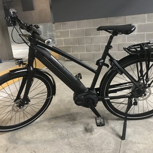 2020 Gazelle Medium Black