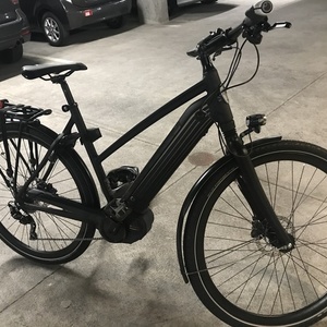 2020 Gazelle Medium Black