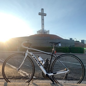 2014 Trek Domane 4.3 WSD (Compact or Triple) White and Black