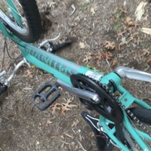 2016 Specialized Green