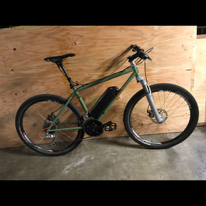 1999 SyCip Mountain Bike Green
