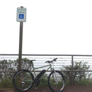 1999 SyCip Mountain Bike Green