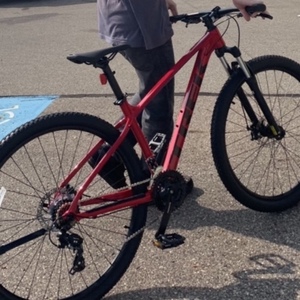 2020 Trek MEDIUM Red