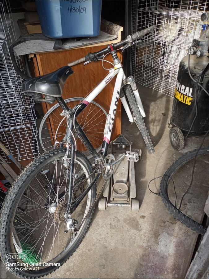 Bike photo