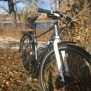 2014 Giant Seek 2 Silver, gray or bare metal