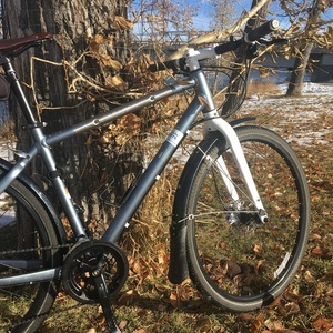 2014 Giant Seek 2 Silver, gray or bare metal