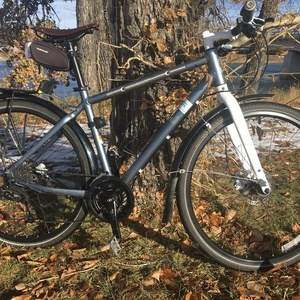 2014 Giant Seek 2 Silver, gray or bare metal