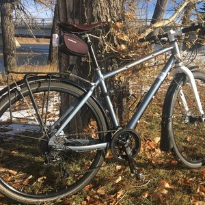 2014 Giant Seek 2 Silver, gray or bare metal