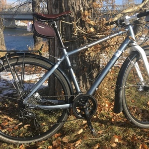 2014 Giant Seek 2 Silver, gray or bare metal