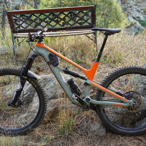 2018 Canyon bicycles Spectral CF 8.0 Brown and Orange