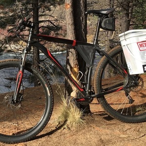 Specialized Rockhopper 29 Black