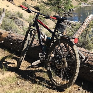 Specialized Rockhopper 29 Black