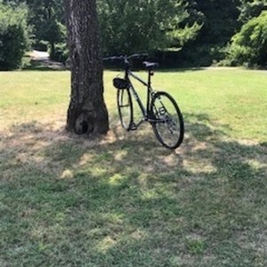 2020 Trek Hybrid FX1 Black