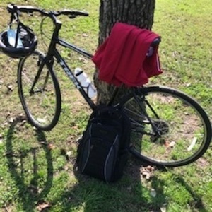 2020 Trek Hybrid FX1 Black
