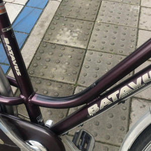 Batavus Osaka Red