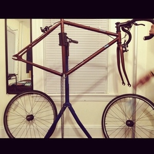2011 Fuji Classic Track Brown