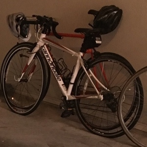 2012 Cannondale Synapse Alloy 5 105 White and Red