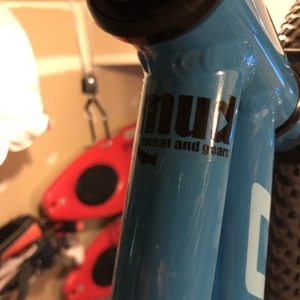 2020 Norco Bikes Roller 16 Blue