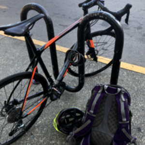 Giant Black and Orange