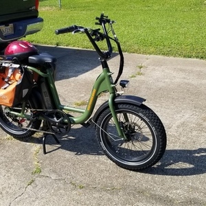 2020 Rad Power Bikes RadRunner Green