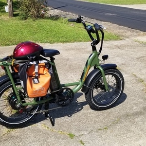 2020 Rad Power Bikes RadRunner Green