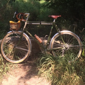 2006 Rivendell Bicycle Works Saluki Green and White