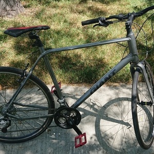 2016 Giant Escape Silver, gray or bare metal