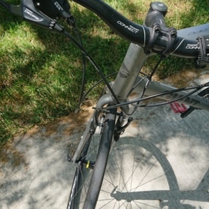 2016 Giant Escape Silver, gray or bare metal