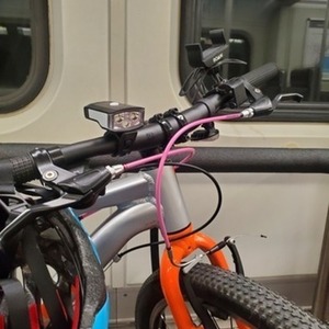2020 Trek Wahoo Silver, gray or bare metal and Orange