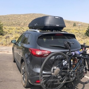 2020 Specialized Roubaix Blue