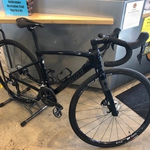 2020 Specialized Roubaix Blue