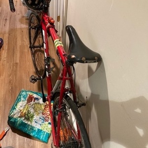 2008 Fuji Cross Pro Red