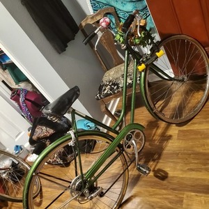 1971 Schwinn Suburban Green