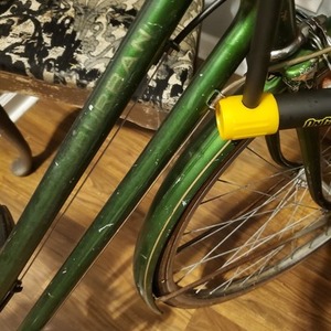 1971 Schwinn Suburban Green