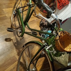 1971 Schwinn Suburban Green