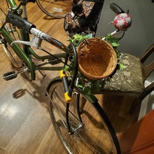 1971 Schwinn Suburban Green