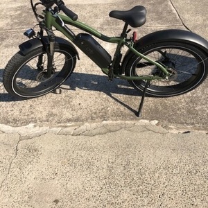 2020 Rad Power Bikes Rad rover Green and Black
