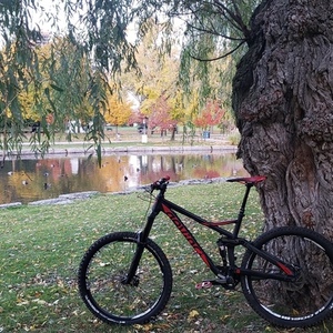 2017 Devinci Troy Black and Red