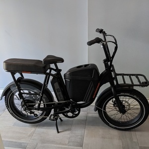2020 Rad Power Bikes RadRunner cargo bike (front storage) Black