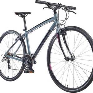 2020 Nishiki Hybrid Silver, gray or bare metal
