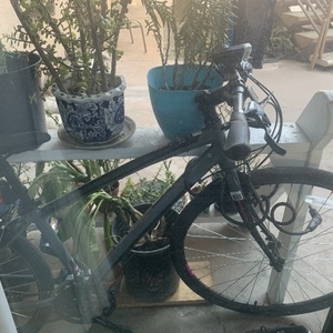 2020 Nishiki Hybrid Silver, gray or bare metal