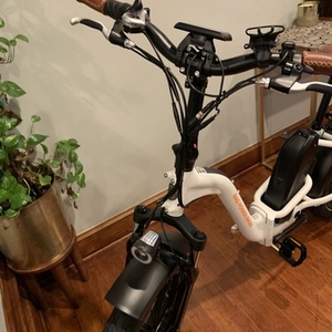 2020 Rad Power Bikes Mini Step Thru White