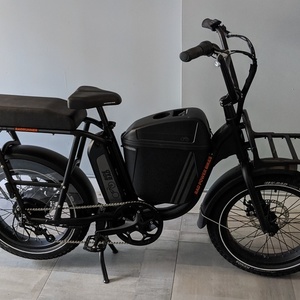 2020 Rad Power Bikes RadRunner cargo bike (front storage) Black