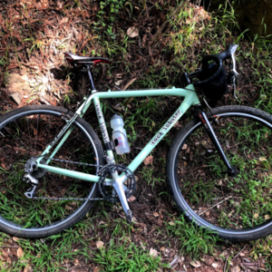 2010 Rock Lobster Green