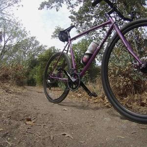 2015 Surly Straggler Purple