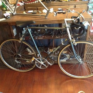 1982 Schwinn Traveler