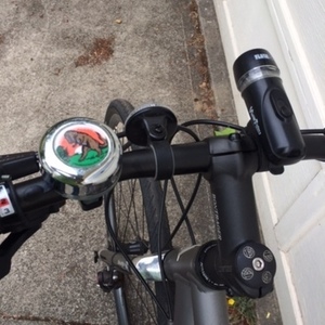 2008 Gary Fisher Mendota Silver or Gray