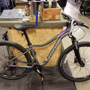 2019 Cannondale Tango Silver, gray or bare metal and Purple